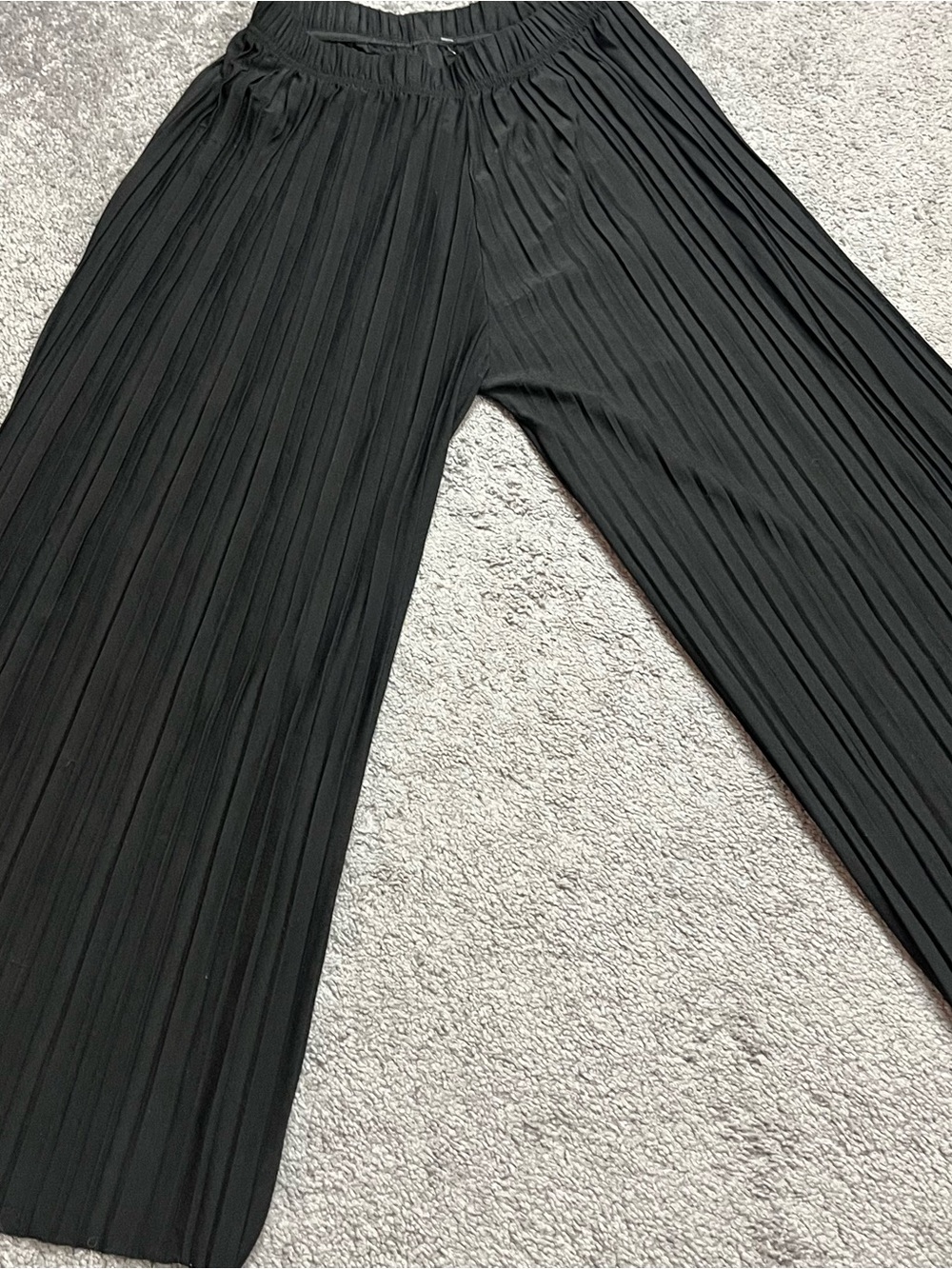 Black Sheer Mesh Pleated Wide Leg Pants